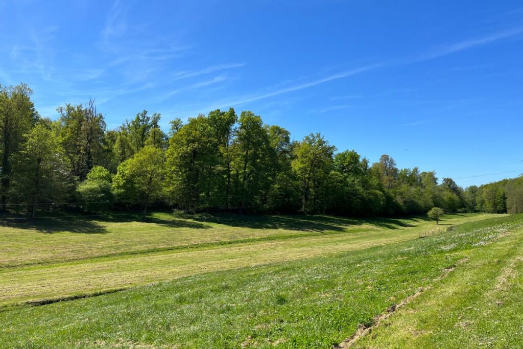 Vallée de Fontdouce