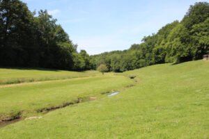 Parc de loisirs Fontdouce baigné de soleil avec sa vallée verdoyante