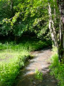 Image de la rivière de Fontdouce